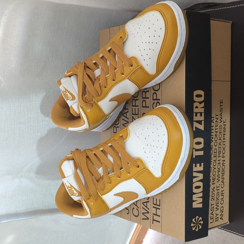 Nike Dunk Low